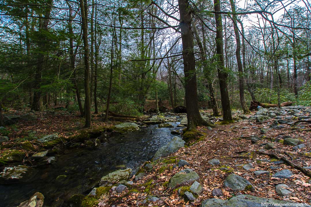 green trail river